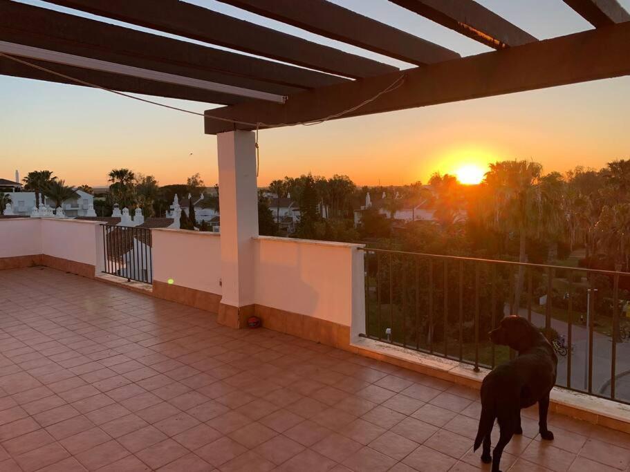 Atico Costa Ballena - Cadiz Rota Εξωτερικό φωτογραφία
